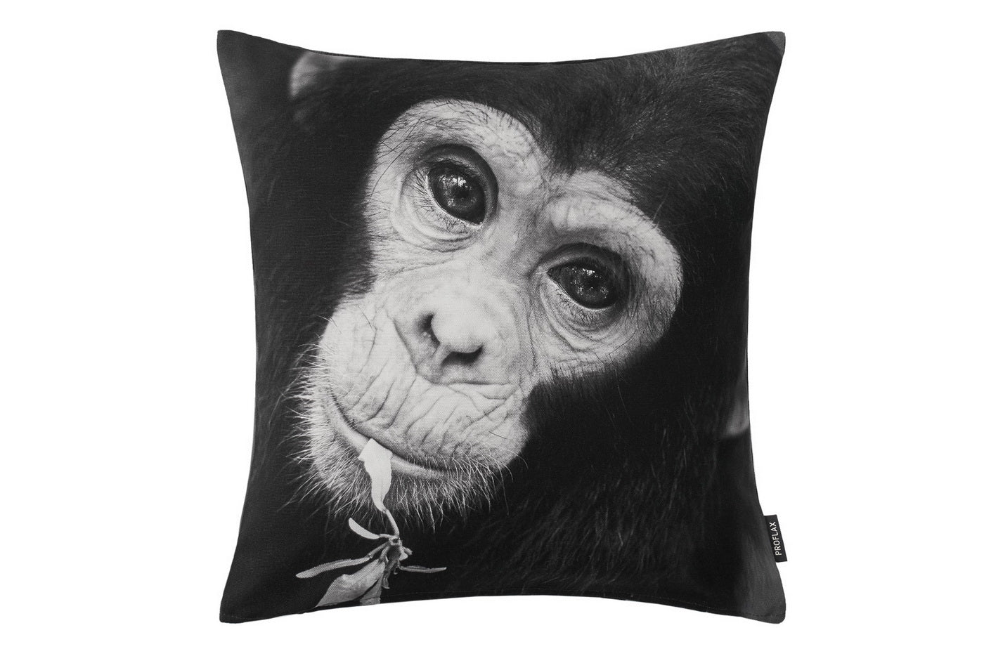 Cheeta, Digitaldruck, Schimpanse, strukturierte Baumwolle, Kissen, schwarz/weiß